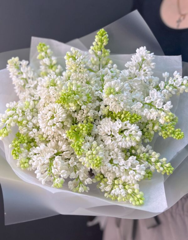 Рафаэлка. Моно букет из сирени